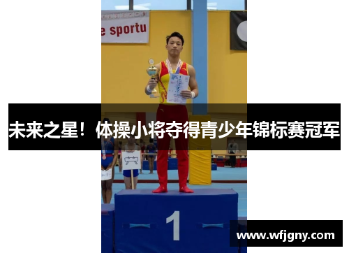未来之星!体操小将夺得青少年锦标赛冠军 未来之星!体操小将夺得青少年锦标赛冠军